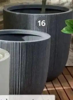 XXXLutz Pflanztopf Angebot