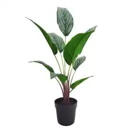 XXXLutz Kunstpflanze Angebot