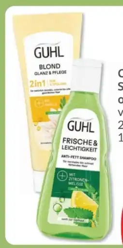 Budni Guhl Shampoo Angebot