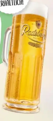 XXXLutz Radeberger Pilsner Bier Angebot