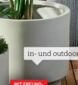 XXXLutz Pflanztopf Natural Garden Angebot