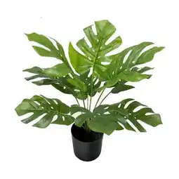 XXXLutz Kunstpflanze Monstera Angebot