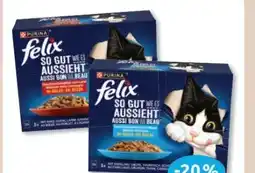 Budni Purina Felix Katzennahrung Angebot