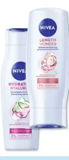 Budni Nivea Shampoo Angebot