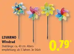 Lidl LIVARNO Windrad Angebot