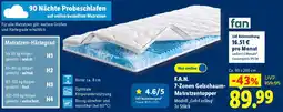 Lidl F.A.N. 7-Zonen Gelschaum Matratzentopper Angebot