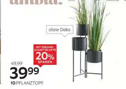 XXXLutz Ambia home pflanztopf Angebot