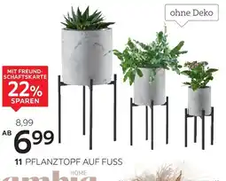 XXXLutz Ambia home pflanztopf auf fuß Angebot