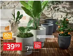 XXXLutz Ambia home übertopf Angebot