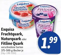 Nah & Frisch Exquisa Fruchtquark, Naturquark oder Fitline Quark Angebot