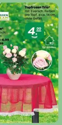 NETTO Topfrosen Trio Angebot