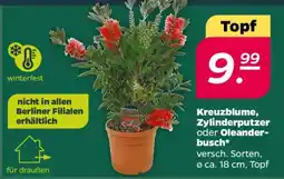 NETTO Topf Angebot