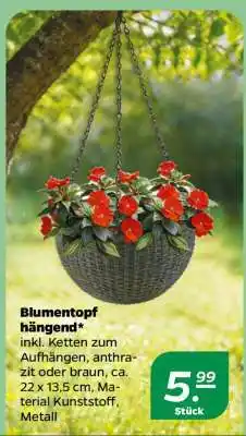 NETTO Blumentopf hängend Angebot