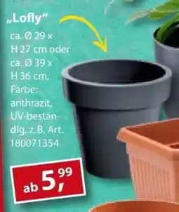 Sonderpreis Baumarkt versch. Pflanztöpfe „Lofly" Angebot