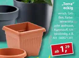 Sonderpreis Baumarkt versch. Pflanztöpfe ,,Terra" eckig Angebot