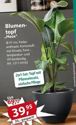 Sonderpreis Baumarkt Blumentopf ,,Heos" Angebot