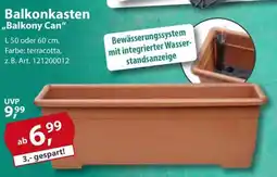 Sonderpreis Baumarkt Balkonkasten ,,Balkony Can" Angebot