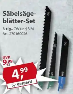 Sonderpreis Baumarkt Säbelsägeblätter-Set Angebot