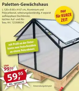 Sonderpreis Baumarkt Paletten-Gewächshaus Angebot