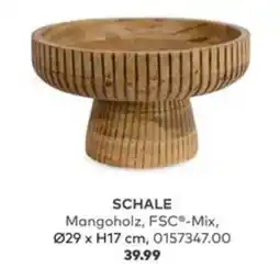 porta Schale Angebot