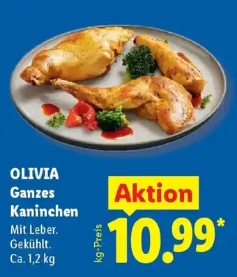 Lidl OLIVIA Ganzes Kaninchen Angebot