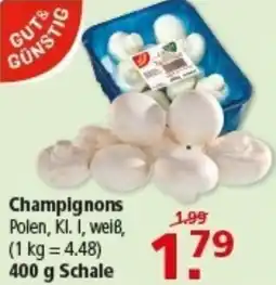Multi Markt GUT & GÜNSTIG Champignons Angebot