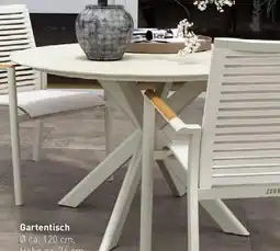 Möbel Martin ZEBRA Gartentisch Angebot