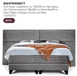 Möbel Martin Boxspringbett Angebot