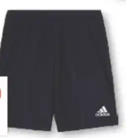 Marktkauf Adidas Herren Trainingsshorts Angebot