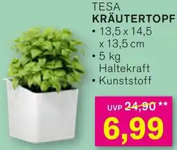 KODi Tesa kräutertopf Angebot