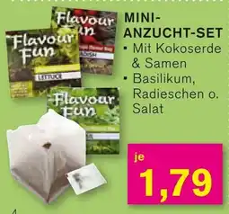 KODi MINI ANZUCHT-SET Angebot