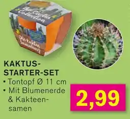 KODi KAKTUS-STARTER-SET Angebot