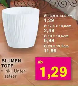 KODi Blumentopf Angebot