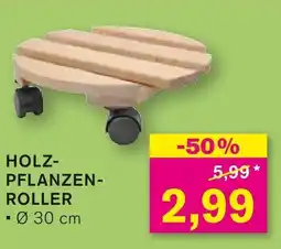 KODi HOLZ PFLANZEN ROLLER Angebot
