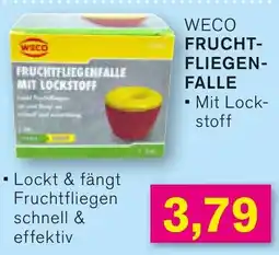 KODi Weco frucht fliegen falle Angebot