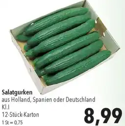CITTI Markt Salatgurken Angebot