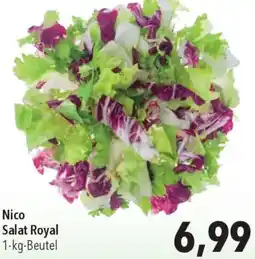 CITTI Markt Nico Salat Royal Angebot