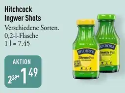 Galeria Markthalle Hitchcock Ingwer Shots Angebot