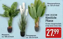 Aldi Nord HOME CREATION Künstliche Pflanze Angebot