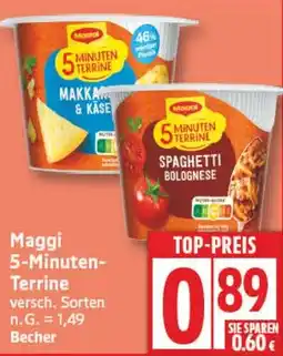 Aldi Nord Maggi 5-Minuten- Terrine Angebot