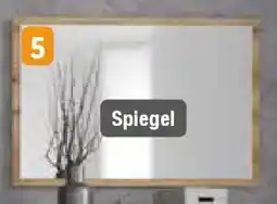 Opti Wohnwelt Spiegel Angebot