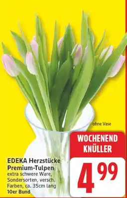 Aldi Nord EDEKA Herzstücke Premium-Tulpen Angebot