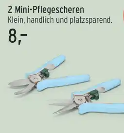 Aldi Nord 2 Mini-Pflegescheren Angebot