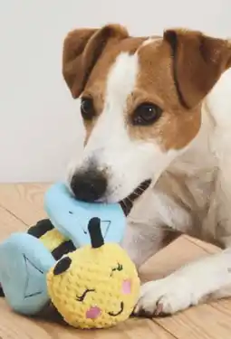 Aldi Nord Tchibo Hunde-Plüschspielzeug Biene Angebot