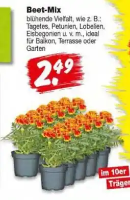 Repo Markt Beet-Mix Angebot