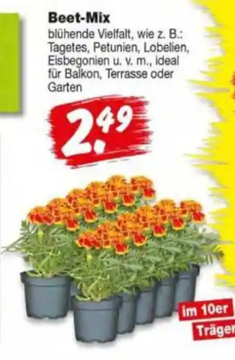 Repo Markt Beet-Mix Angebot