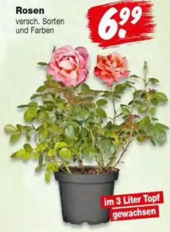 Repo Markt Rosen Angebot