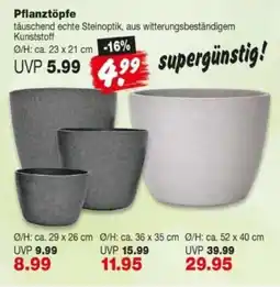 Repo Markt Pflanztöpfe Angebot
