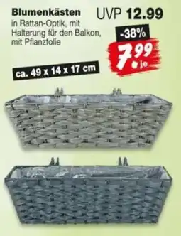 Repo Markt Blumenkästen Angebot