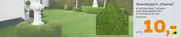 Globus Baumarkt Rasenteppich „Moorea" Angebot